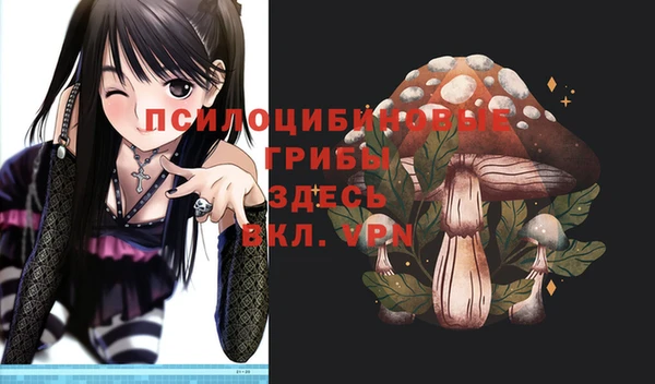 первитин Алексин