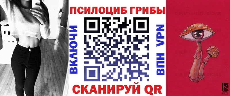 Псилоцибиновые грибы MAGIC MUSHROOMS  где продают наркотики  Наволоки 