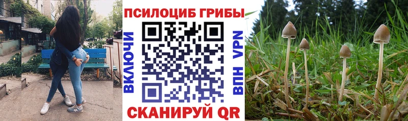 Псилоцибиновые грибы прущие грибы Наволоки