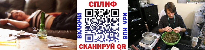 Марихуана сатива  Наволоки 